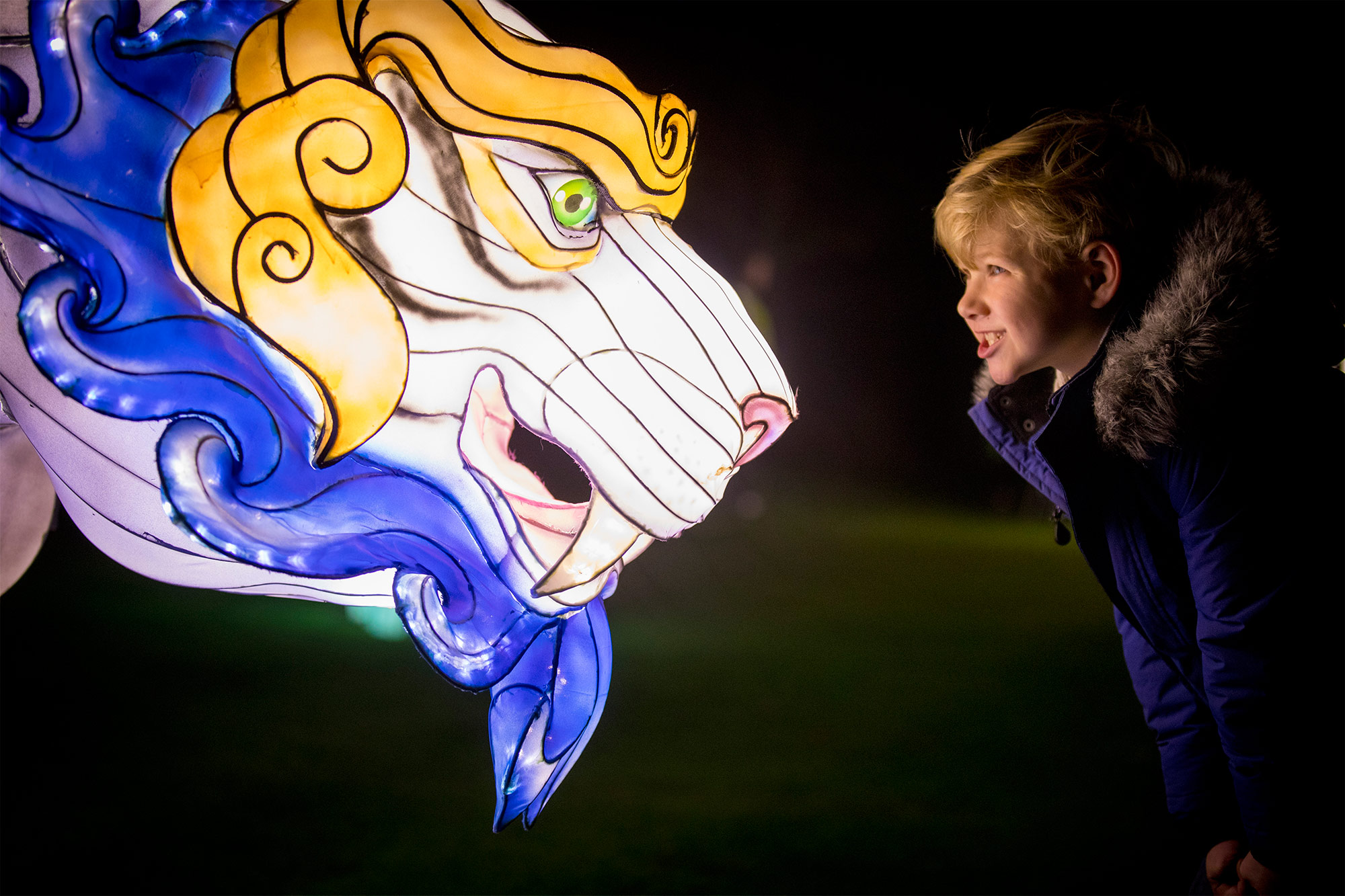 boy with tiger lantern