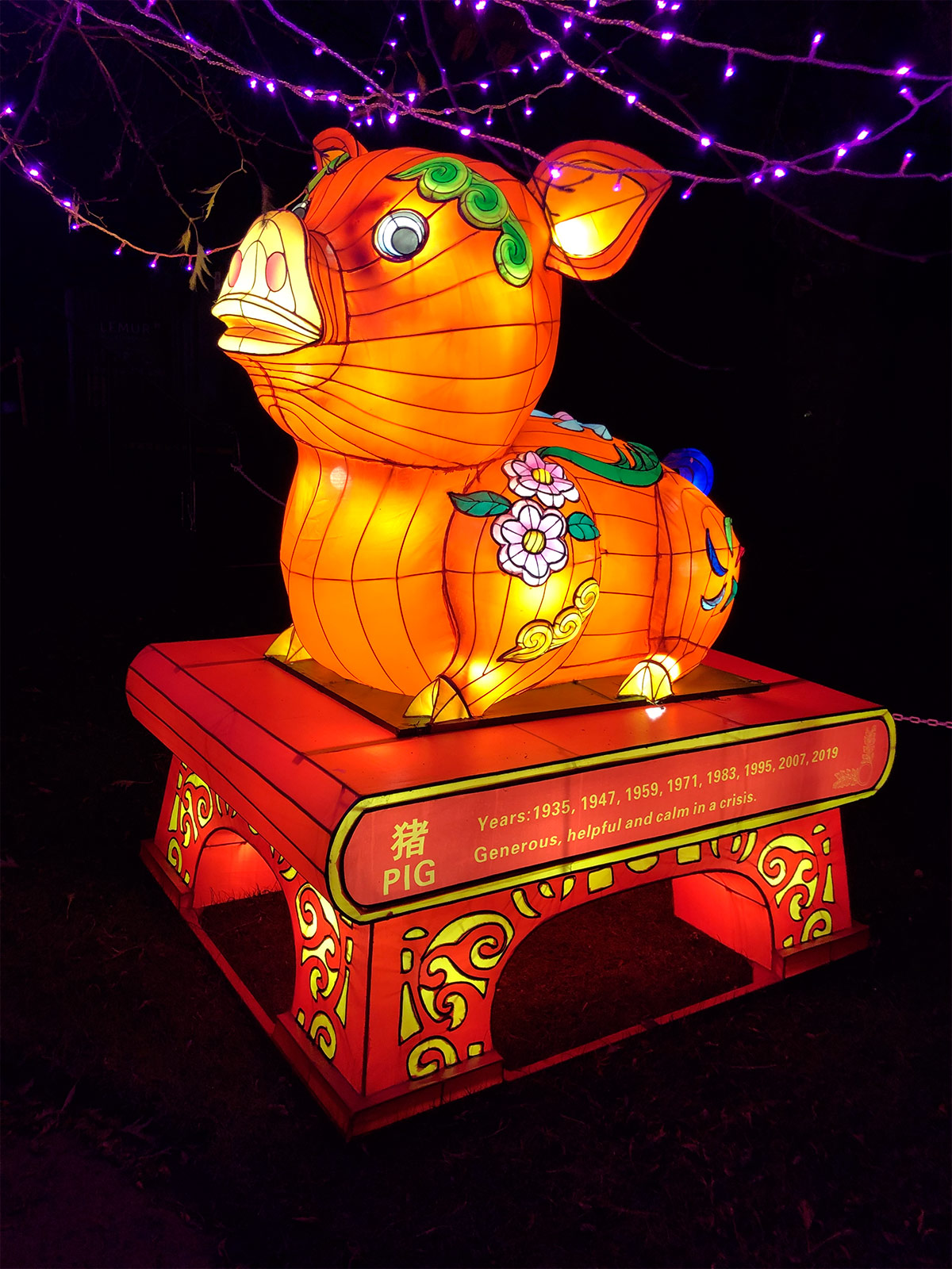 chinese new year