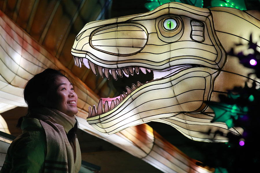 Edinburgh Zoo Lanterns