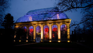 CNIS Glasshouse