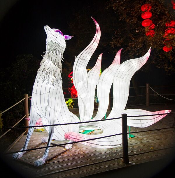 9 tailed fox