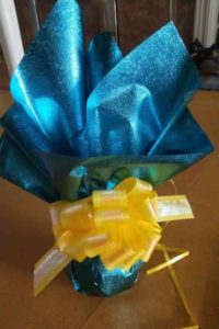 Wrapped apple