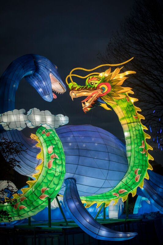 dragon