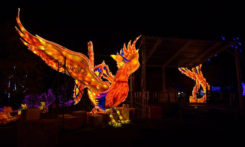 firebird