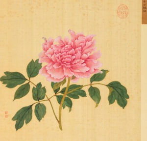 gongbi peony