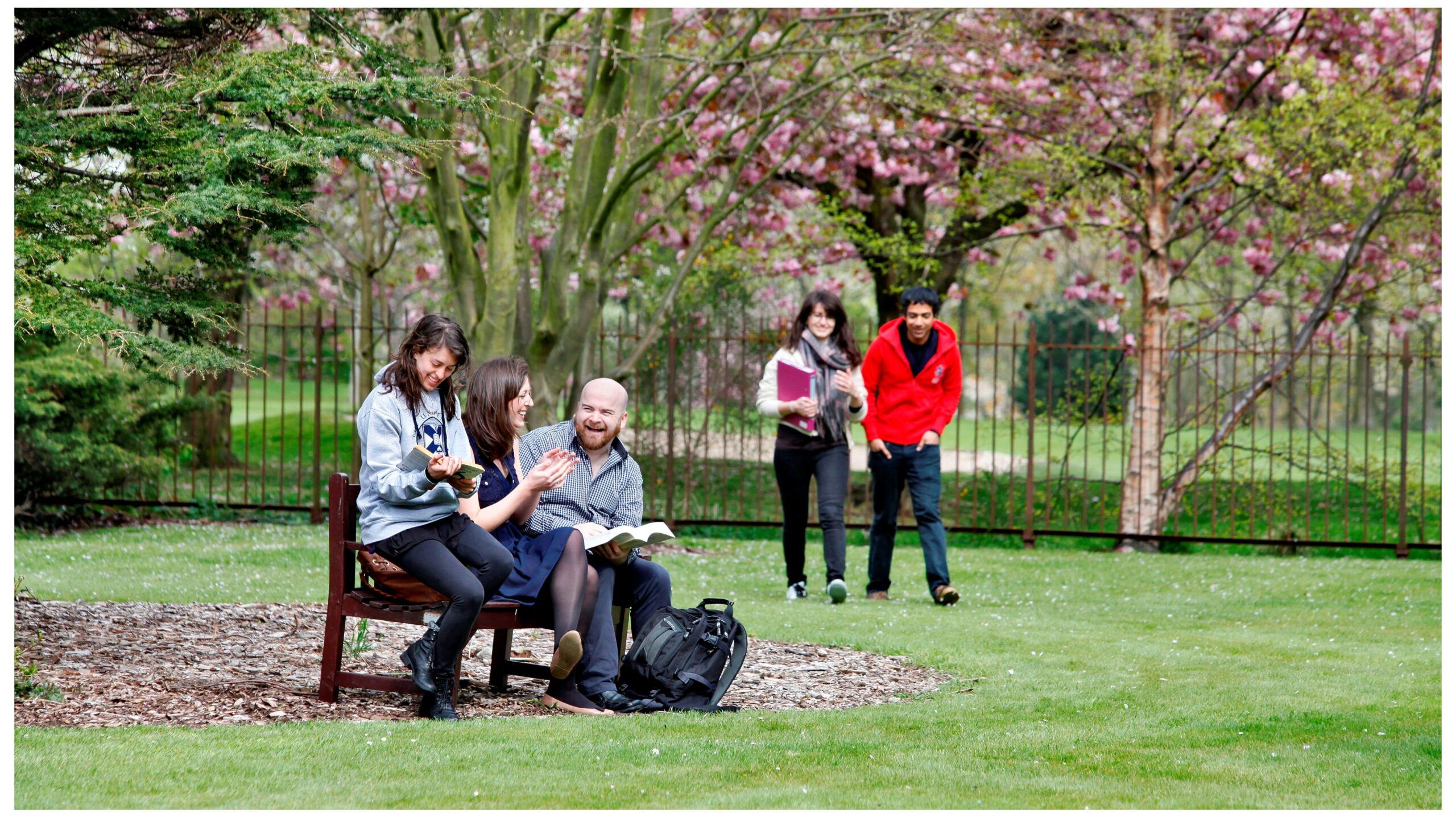 Chinese Language Summer Courses – 1 July to 2 August, 2024